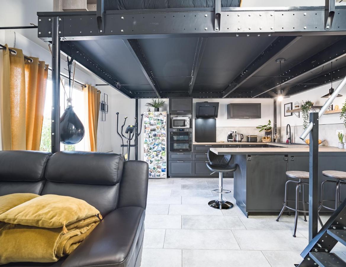特鲁瓦Loft Avec Jardin Et Parking Prive公寓 外观 照片